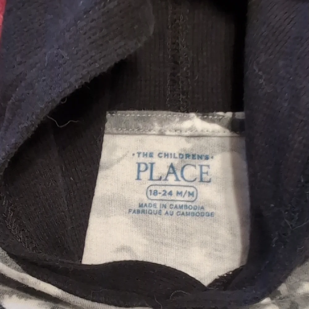 The Children's Place Dinosaur Layered Shirt